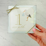 Milestone Cards - Classic Boy