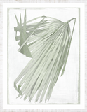 Palm Pressing III - Biscay