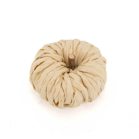 Petite Pumpkin Natural 3"