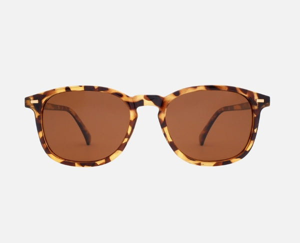 Bean Classic Tort Kohv Sunglasses