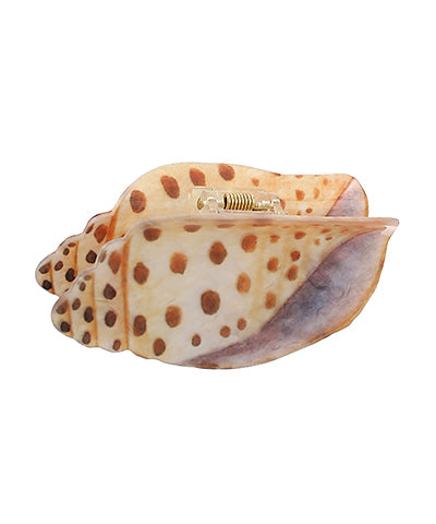 Conch Shape Hair Claw Clip