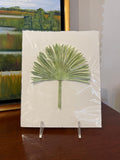 Palm by Kayley Johansson