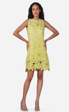 Fall for Neon Floral Lace Dress