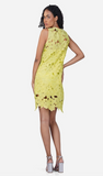 Fall for Neon Floral Lace Dress