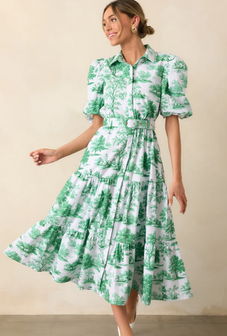 Eden Green Toile Midi Dress / Small