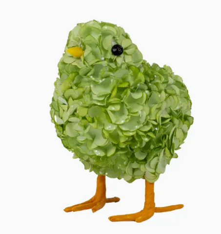 Hydrangea Chick