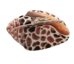 Conch Shape Hair Claw Clip