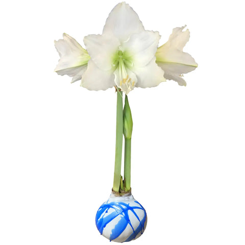 White Flower White Wax Blue Splatter Base Bulbs