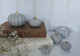 Pewter Blue Pumpkins