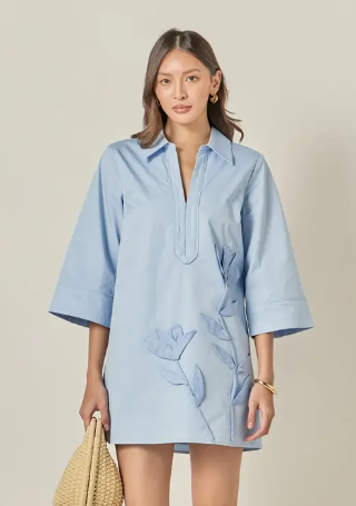 Appliqued Striped Shirt Mini Dress