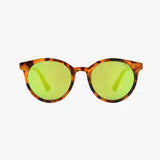 Carrot Island Sunglasses Collection