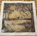 Ducks in Cypress