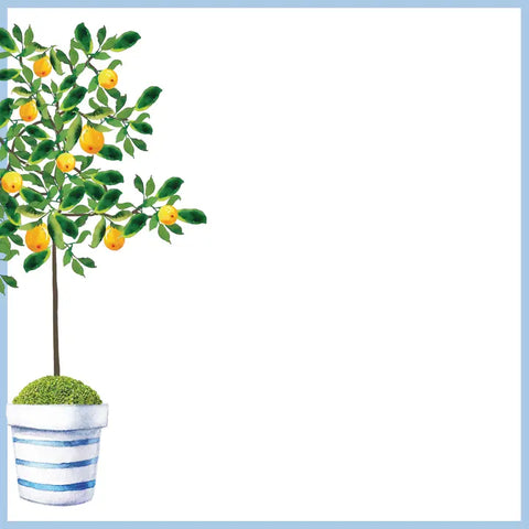 Lemon Tree Slab Notepad