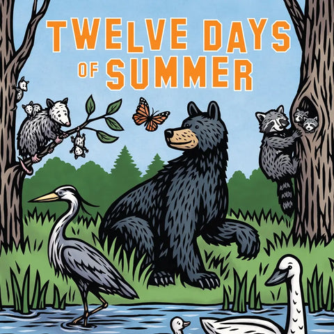 Twelve Days of Summer