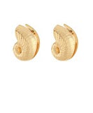 Gold Shell Earring