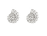 Nautilus Shell Stud