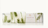 Frasier Fir Pine Needle Candle Set
