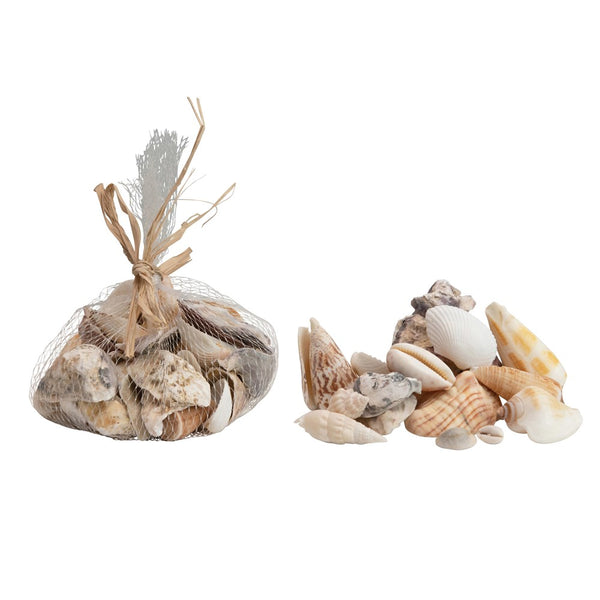 Decorative Shells in Bag